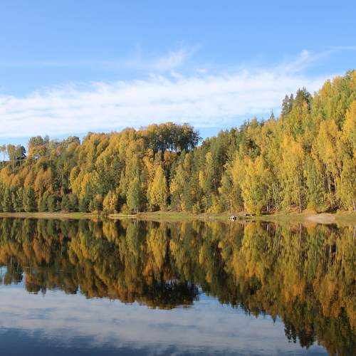 Photo #11126954