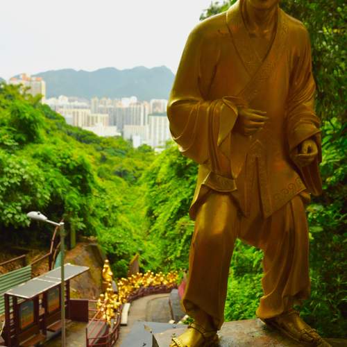 Photo #11127051