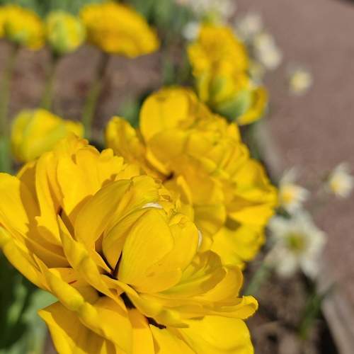 Photo #11127100