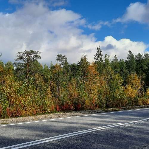 Photo #11127241