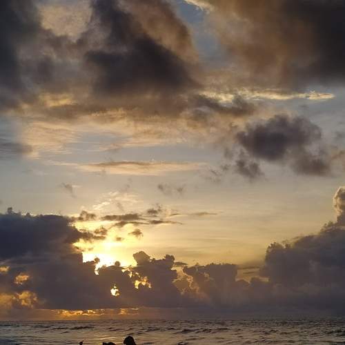 Photo #11127289
