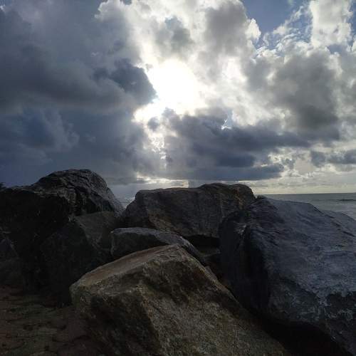 Photo #11127290