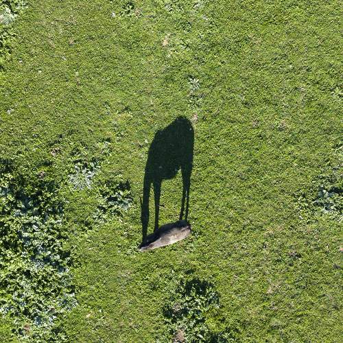 Photo #11127389