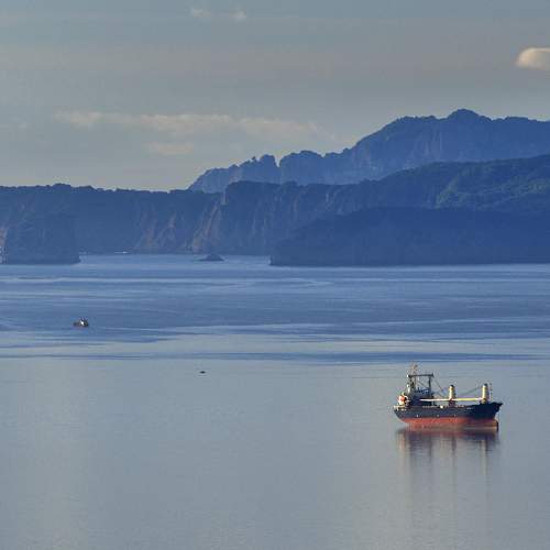 Photo #11127831