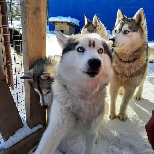 Photo #11128272