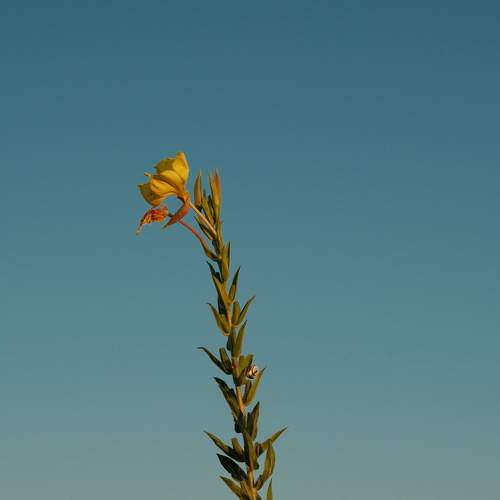 Photo #11128331