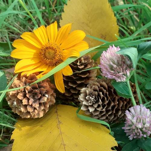 Photo #11128367