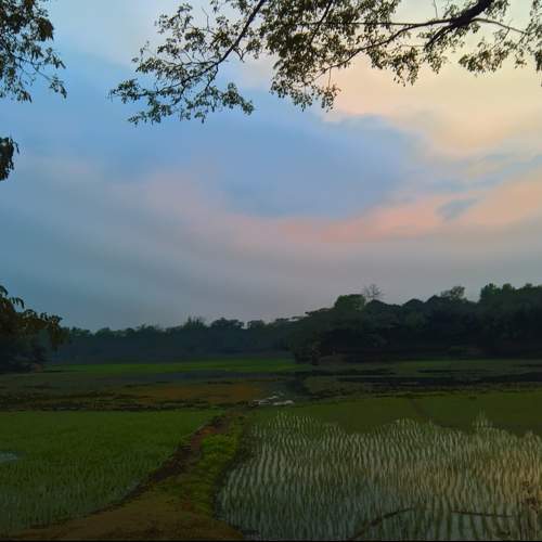 Photo #11128482