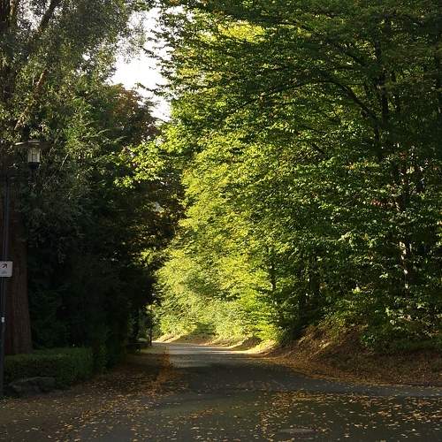 Photo #11128589