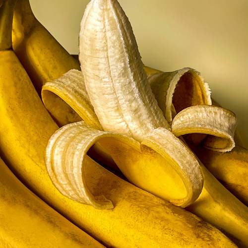 Photo #11128617