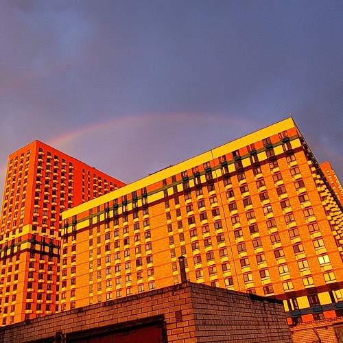 Photo #11128720