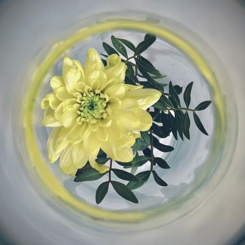 Photo #11128734