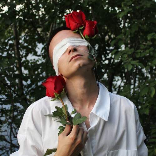 Photo #11129312