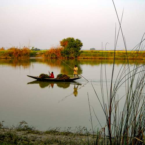 Photo #11129324
