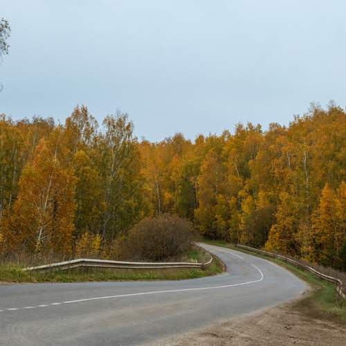 Photo #11129350