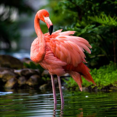 Фотография #11129473