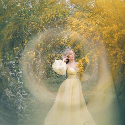 Photo #11129489