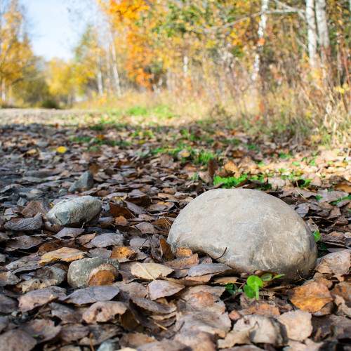 Photo #11129779
