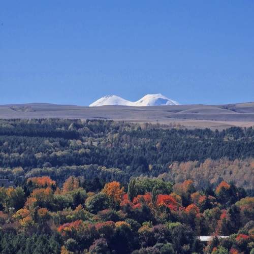 Photo #11129848