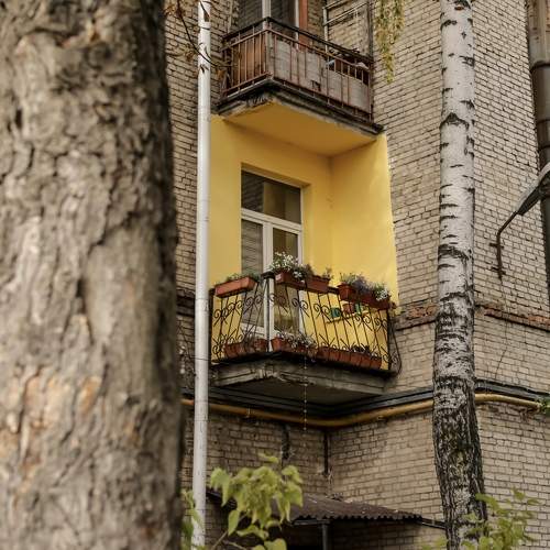 Photo #11130300