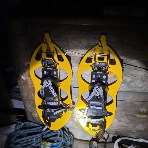 Photo #11130308