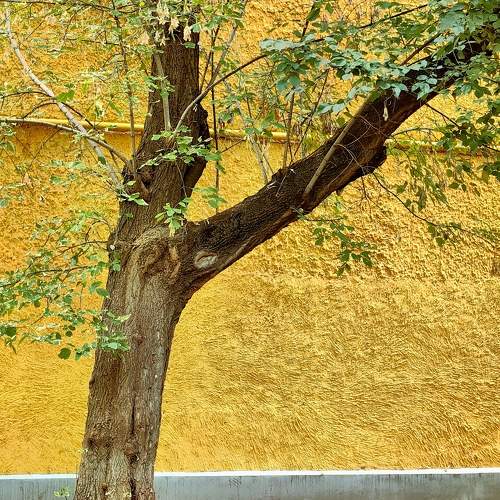 Photo #11130319