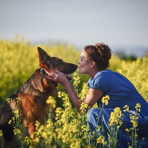 Фотография #11130399