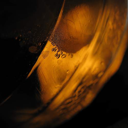 Photo #11130434