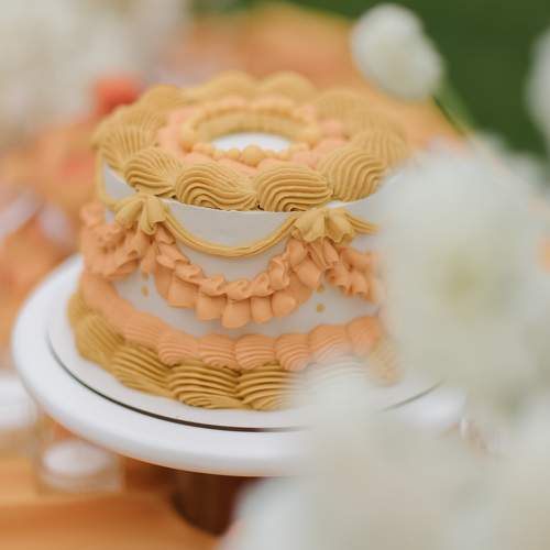Photo #11130774