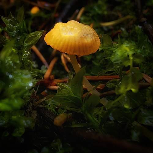 Photo #11130822