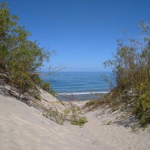 Photo #11130895
