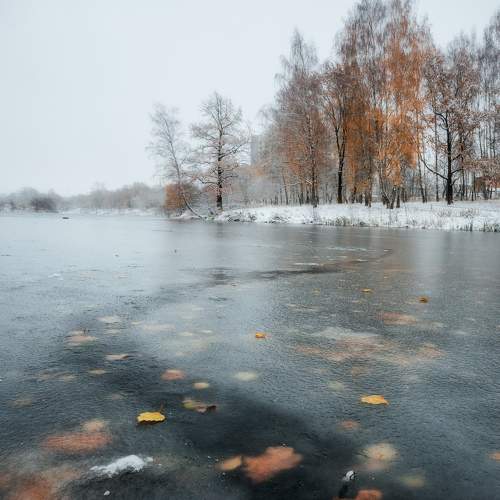 Photo #11130902