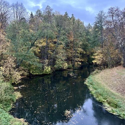 Photo #11131203