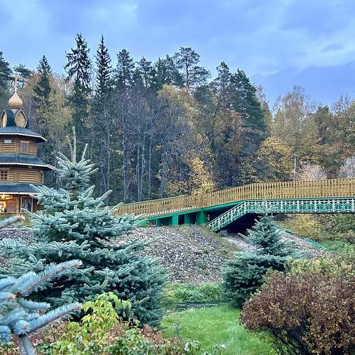 Photo #11131205