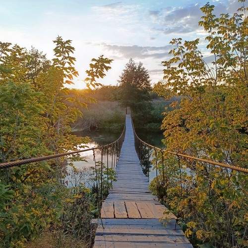 Photo #11131606