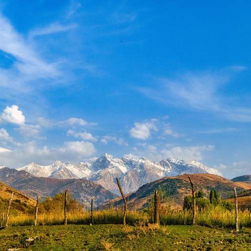 Photo #11131986