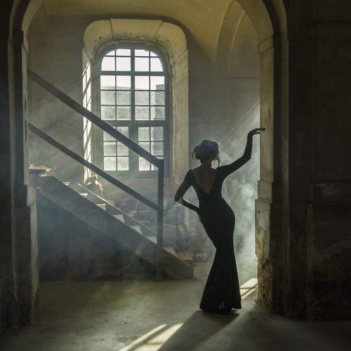 Photo #11132131