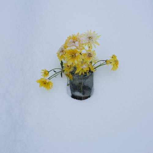 Photo #11132204