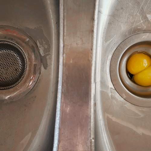 Photo #11132228