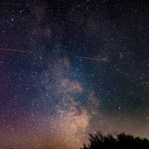 Photo #11132292