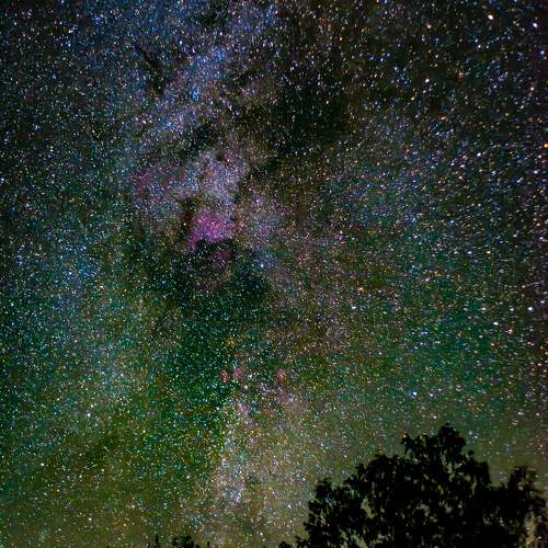 Photo #11132307