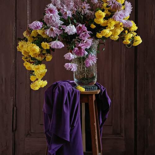 Photo #11132476