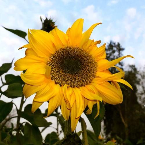 Photo #11132530