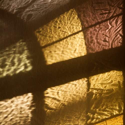 Photo #11132573