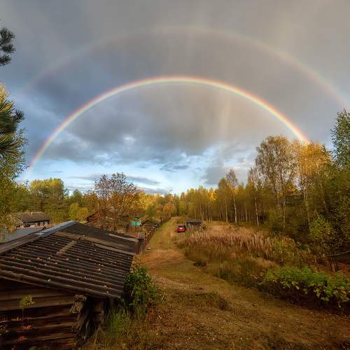 Photo #11132625