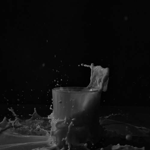 Photo #11132745