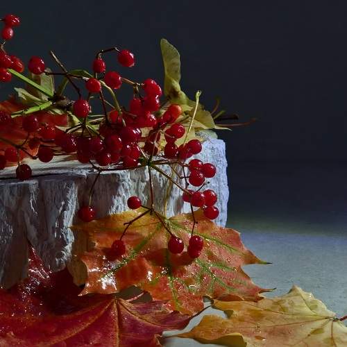 Photo #11132847