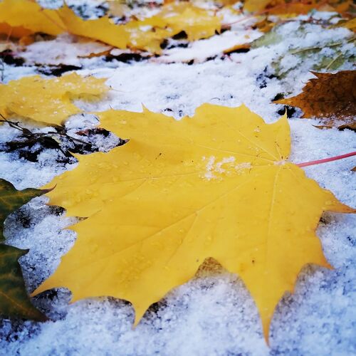 Photo #11133025