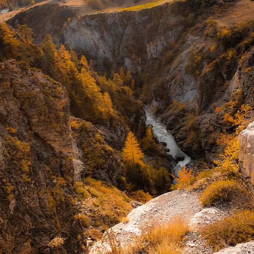 Photo #11133138