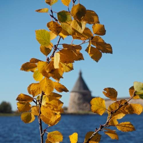 Photo #11133213